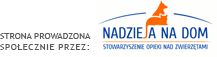 Nadzieja na DOM